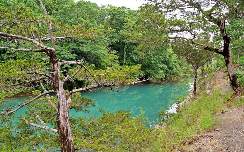 Escape to Eagle Creek: Where Adventure Meets Serenity